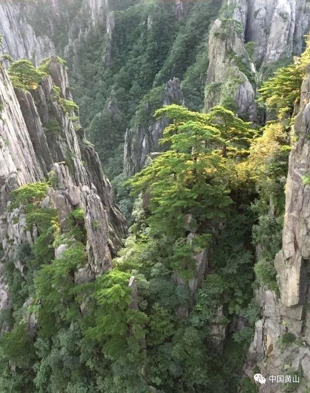 颜色方块